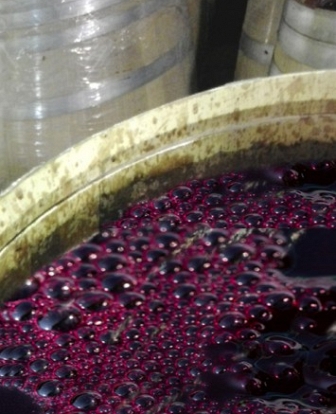 La fermentacion malolctica en los vinos