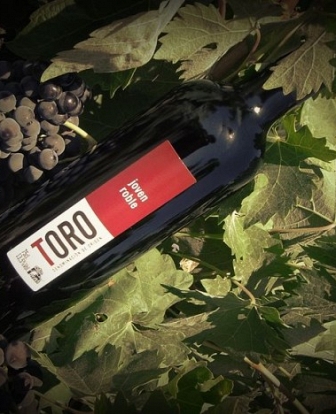 Viaje por la tradicin, la historia y la cultura del vino de Toro