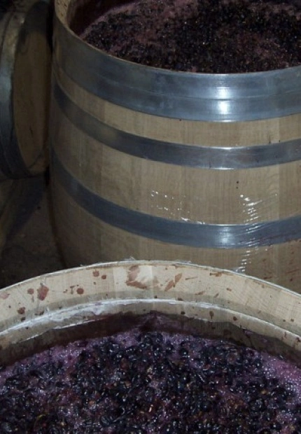 La fermentación alcohólica de los vinos