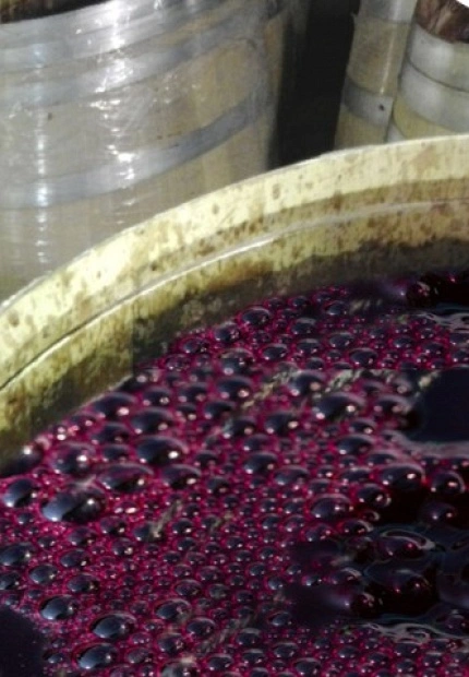 La fermentacion maloláctica en los vinos