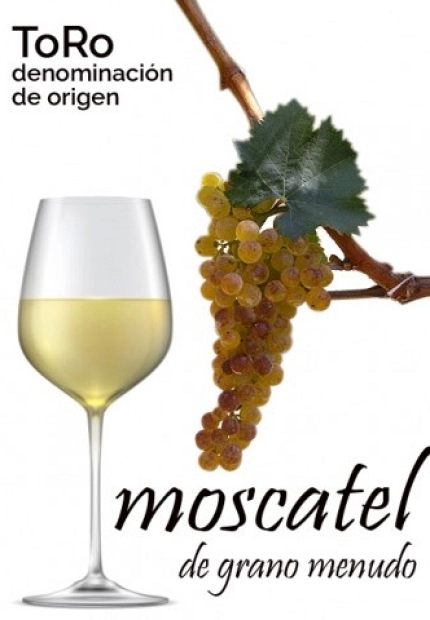 La gran desconocida Moscatel de grano menudo