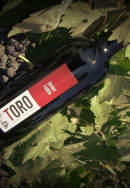Viaje por la tradición, la historia y la cultura del vino de Toro